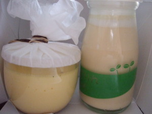右はロートンヌの江古田プリン、左は一善やの有精卵プリン。右はとろり滑らか濃厚な味、左はバニラビーンズ入りで素朴な味。