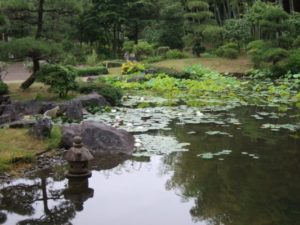 日本庭園の池
