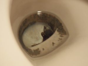 トイレのガンコな尿石落としは サンポール の酸性洗剤で除去できる Secret Box